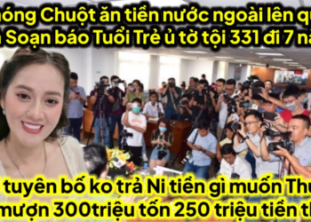 Bế nóng chuột ăn tiền nước ngoài lên quậy toà soạn báo Tuổi Trẻ ở tù tội 331 đi 7 năm căng rồi