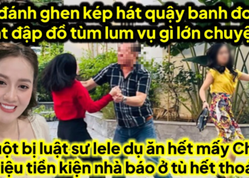 C3 đánh ghen kép hát đập đồ quậy banh đoàn hát vụ gì,chuột bị luật sư lele dụ mấy chục triệu ở tù