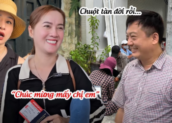 Chuột Tàn Đời TIN DỮ Từ Báo Lớn, HP Ngất Xỉu Hồng Loan Mời CA Vào Cuộc Sao Kê?