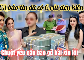 Chuột Vi Bằng Tờ Báo Đăng Sai Sự Thật Xin Lỗi, Hồng Loan Tá Hoả Cá Cảnh Doạ Tung Ghi Âm Hại Ni