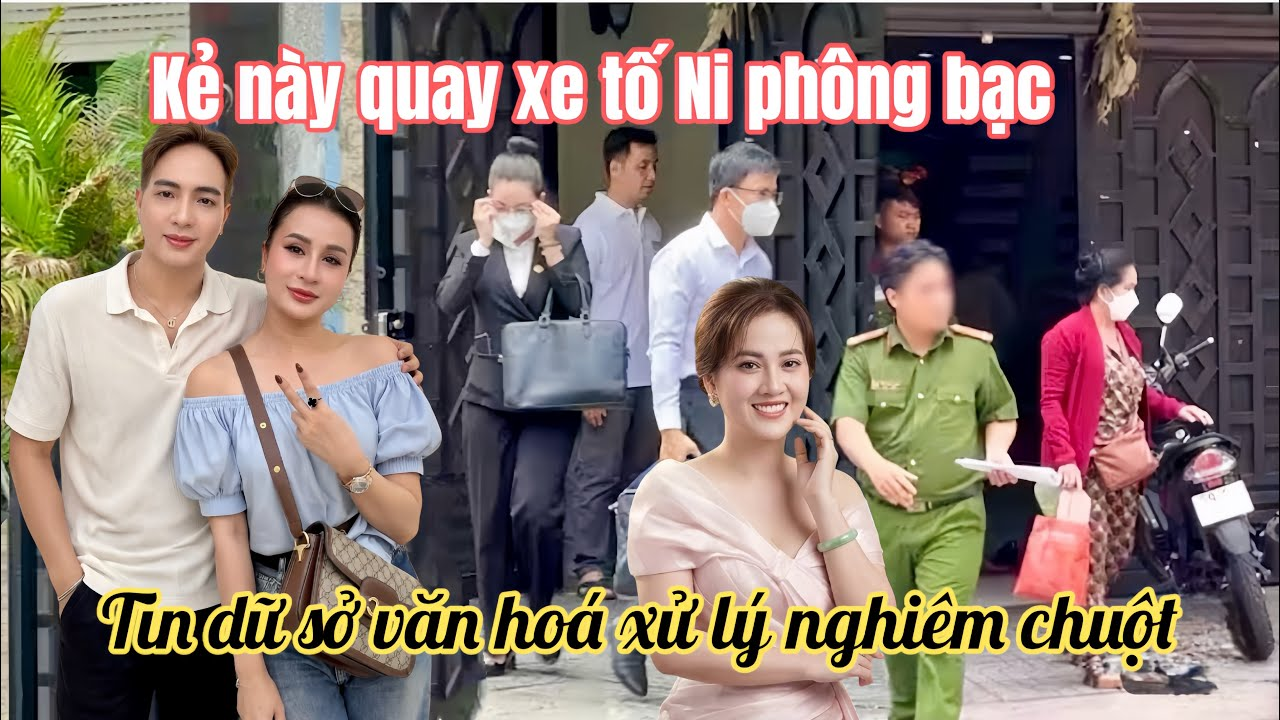 Hồng Loan Bất Ngờ Cá Cảnh Tố Ni Phông Bạc, Chuột Hết Cứu Nổi Nhận Tin Dữ Sở VH Xử Lý Nghiêm
