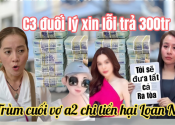 Hồng Loan Giật Mình Lộ TRÙM CUỐI Gài Cá Cảnh Bem Ni, C3 Đuối Lý Gọi Điện Xin Lỗi Ni Vụ 300Tr