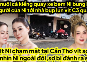 Mẹ nuôi cá kiểng quay xe bem Ni bị người Ni qua nhà bụp bung bét do C3 vịt quá ác,vịt chặm mặt ni