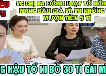 Vc Chị Ba Đồng Loạt Tố Hồng Ni Mang Bầu Giả Và Vu Khống Mình Mượn Tiền 5 Tỉ