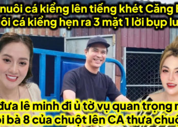 Mẹ nuôi cá kiểng lên tiếng ba nuôi cá kiểng hẹn ra 3 mặt 1 lời bụp lun,Hội bà 8 quay xe chuột lên CA