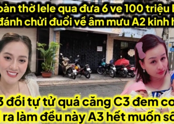 A2 lele đem qua 6 ve 100 triệu bị 6 đánh chửi đuổi về âm mưu A2 lele quá ghê A3 đồi tự dẩn gì con