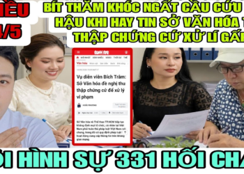 Bít Thăm Khóc Ngất Cầu Cứu Bông Hậu Khi Hay Tin Sơ Văn Hóa Đề Nghị Thu Thập Bằng Chứng Để Xử Lí
