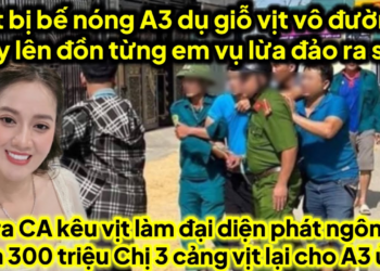 Vịt bị bế nóng A3 dụ giỗ vịt vô đường dây đào lửa làm đại diện phát ngôn A3 lên đồn từng em ra sao