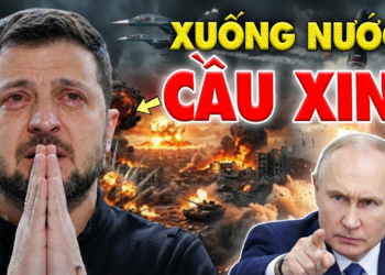 Điểm nóng 17/5: Kiev Xuống Nước “Cầu Xin” Nga Ngừng Bắn, Nga Trả Đũa “Khốc Liệt” Kiev “Hấp Hối”