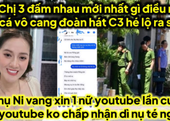A3 chị 3 đấm nhau mới nhất vụ này khi gặp A3 đoàn hát hé lộ kinh hoàng vịt cá qua cang ra sao căng