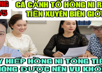 Cá Cảnh Tố Hồng Ni RỬA TIỀN Xuyên Biên Giới Đang Bị CA Điều Tra