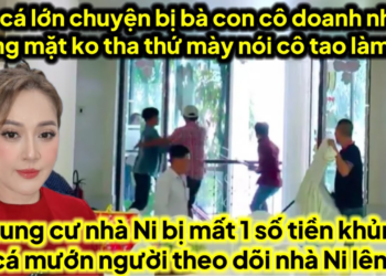 Chung cư Ni mất số tiền khủng khi vịt cá mướn người theo dõi nhà Ni ra sao bế lên CA từng em đi xa
