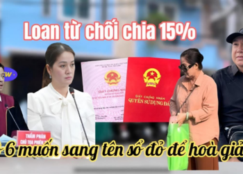 Cô 6 Ra Điều Kiện Tha Thứ Cho Móm Nếu Chia 15%, Trợ Lý Kim Hô Tung Ghi Âm Vụ Sang Tên Sổ Đỏ