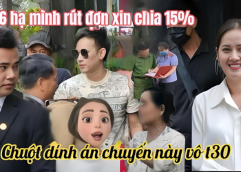Hồng Loan Sốc Cô 6 Thương Lượng Rút Đơn Xin Chia 15%, Chuột Cầu Cứu Ba Chồng Dính Án Sắp Vô T30