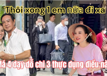 Chuột Sắp Đi Xa Lê Minh Đã Đưa Đơn Lên CA, Thực Dụng Nhận Lệnh Chi 3 Đẩy Ni Khỏi Nhà Hồng Loan
