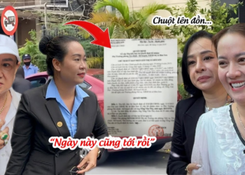 Hồng Loan Vỡ Oà Cô 6 Nhận Tin Huỷ Bỏ Hồ Sơ, Chuột Khóc Lóc Xin Người Này RÚT ĐƠN?