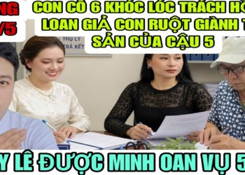 Con Cô 6 Khóc Lóc Trách Hồng Loan Giả Con Ruột Giành Tải Sản Của Cậu 5 Để Lại Cho Mình