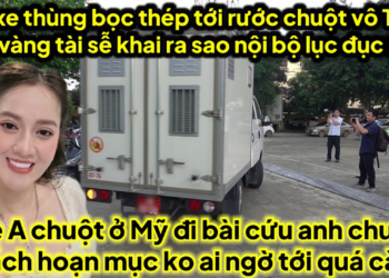 1/6 xe thùng tới rước chuột vô T30 áo vàng tài sế khai ra sao nội bộ lục đục,mẹ chuột ở mỹ về cứu