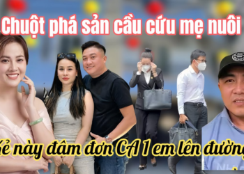 Hồng Loan Sốc Con Nui Cô DN Đâm Đơn Kiện Kẻ Này, 25k Qua Giải Cư’u Quán Chuột Sắp Phá Sản