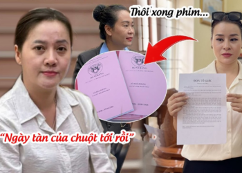 HP Nhập Viện Gấp Nghe TIN DỮ Từ CA, Hồng Loan Làm ĐIỀU NÀY Tại VP Thừa Phát Lại?