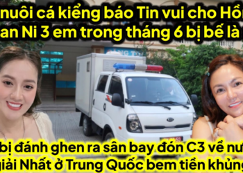 Mẹ nuôi cá kiểng báo Tin vui cho Hồng Loan Ni tháng 6 có 3 em bị bế T30,A3 kép hát ghen bụp sân bay