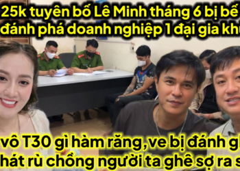 Vịt tuyên bố tháng 6 Lê Minh bị bế tội 331 đánh phá doanh nghiệp 1 đại gia,Vịt vô T30 gì hàm răng