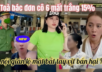 HP Tái Mặt Trợ Lý Quay Xe Vạch Mặtt Trước Ngày Ra Tòa, Luật Sư Báo Kết Quả Cô 6 Mất Trắng 15%