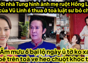 Hình ảnh vợ cns Vũ Linh mẹ ruột Hồng Loan 6 ve thua trắng tại toà luật sư bỏ chạy,âm mưu bị bế T30