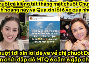 Mẹ nuôi cá kiểng tát thẳng mặt chuột chuyện kinh hồn này qua xin lỗi 6,chị chuột ghen ve A chuột