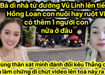Bà dì nhà từ đường Vũ Linh hé lộ Hồng Loan ruột hay nuôi Vũ Linh thêm 1 đứa con nữa đang ở đâu là ai