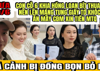 Con Cô 6 Khịa Hồng Loan Thua 15% Cay Cú Lên Mạng Tung Giấy Tờ Không Có Giá Trị Ăn Mày Xin Tiền MTQ