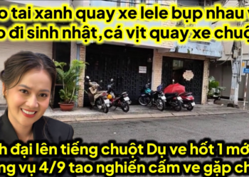 Chuột dụ ve hốt 1 mớ chung vụ 4/9 ko mún bán 2 căn nhà,heo quay xe lele,cá vịt quay xe chuột