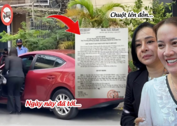 Hồng Loan Mừng Run TIN VUI Toà Báo Về, Chuột Sụp Đổ Nhận VĂN BẢN KHẨN Từ Ông Giáo?