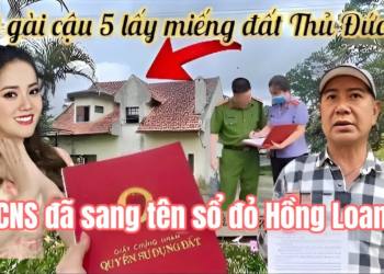 Hồng Loan Bật Khóc Má Tư Chia Sẻ CNS Vũ Linh Âm Thầm Sang Tên Miếng Đất Thủ Đức, Cô 6 Khóc Hận