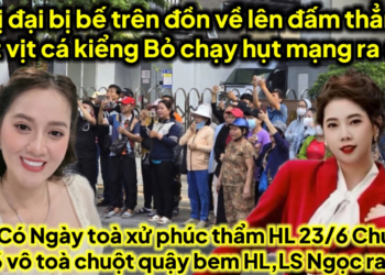 Chị đại bị bế trên phường về lên tát thẳng mặt vịt cá đã có ngày toà xử HL chuột xin 6 vô toà quậy