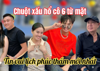 Hồng Loan Lâm Hùng Báo Tin Vui, Tin Mới Nhất Phúc Thẩm Chuộtt Xấu Hổ Cô Sáo Từ Chối Lời Xin Lỗi
