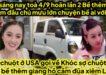 sáng nay toà xử ngày 4/9 hoãn lần 2 để bế thêm người trong toà ra hé lộ ra sao,bế thêm giang hồ