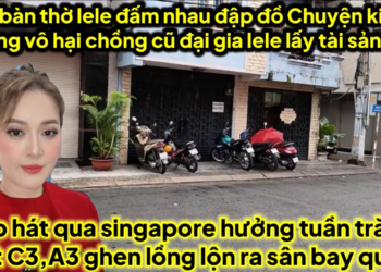 A2 lele bụp nhau cướp tài sản lele kép hát qua Singapore gặp C3 A3 ghen ra sân bay quậy