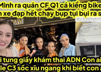 Ni tung giấy khám thai thử ADN coi con A3 hay Huy Lê,Lele C3 xĩu ngang khi biết con ai,cá bị LM bắt