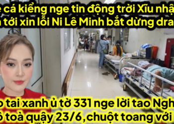 Mẹ cá kiểng nge tin động trời té xĩu nhập viện tới xin lỗi Ni Lê Minh bắt cá dừng drama,heo 6 ủ tờ
