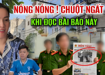 Biến Lớn | Chuột Gục Ngã Tá Hỏa Khi Độc Được Bài Báo Này