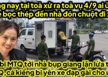 Sáng nay tại toà xử ra toà vụ ngày 4/9 áo vàng tài sế ai ủ tờ chuột bị xe bọc thép đón,vịt cá toang