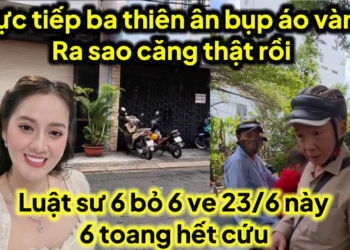 Trực tiếp Ba thiên ân bụp áo vàng ra sao căng thật luật sư 6 bỏ chạy