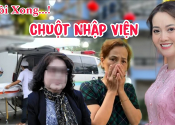 Hồng Loan Giựt Mình Chuột Ngất Tại Tòa Vì Dính Án Nặng, Cô 6 Gấp Rút Nộp Giấy Này Cho CA Để Giữ 15%