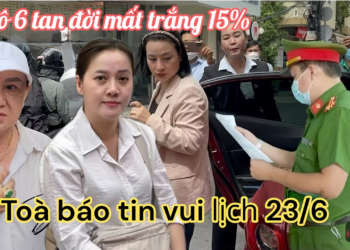 Hồng Loan Vỡ Òa Nhận Tin Vui Từ Tòa Án, Luật Sư Báo Kết Quả Cô 6 Mất Trắng 15%