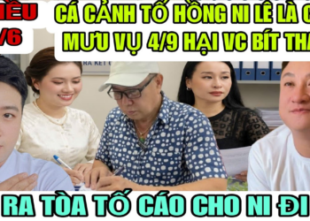 Cá Cảnh Ra Làm Chứng Minh Oan Cho Bít Tham Tố Hồng Ni Lê Minh Chủ Mưu Trong Vụ 4/9 Cần Xử Lí