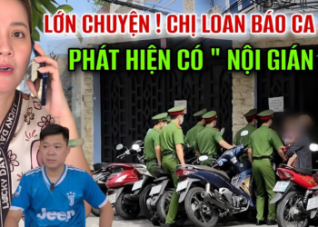 Hồng Loan Tá Hỏa Báo CA Gấp ! Không Ngờ Lại Có ” Nội Gián ” Theo Mình Lâu Nay