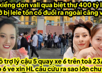 Cá kiểng dọn vali qua biệt thự lele xin ở bị lele tốn cổ ra ngoài vụ gì,hô quay xe 6 trên toà 23/6