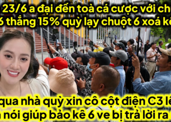 A đại đến toà 23/6 cá cược chuột nếu 6 thắng quỳ lạy xin lỗi 6 chuột xoá kênh,6 cầu cứu C3 cô KL