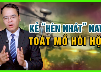 Bác Bỏ Luận Điệu Chống Nga: Tướng Nato Lên Án Ukraine Và Châu Âu?